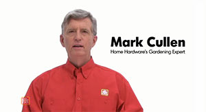 Mark Cullen Expert Advice Videos