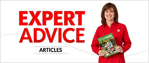 Expert Advice Articles Promo Image