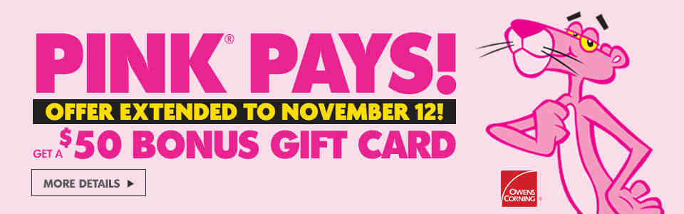 Pink Pays Extended Nov-12 Banner